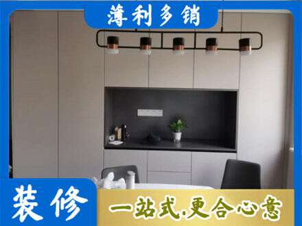 保定安新县专业定制餐柜